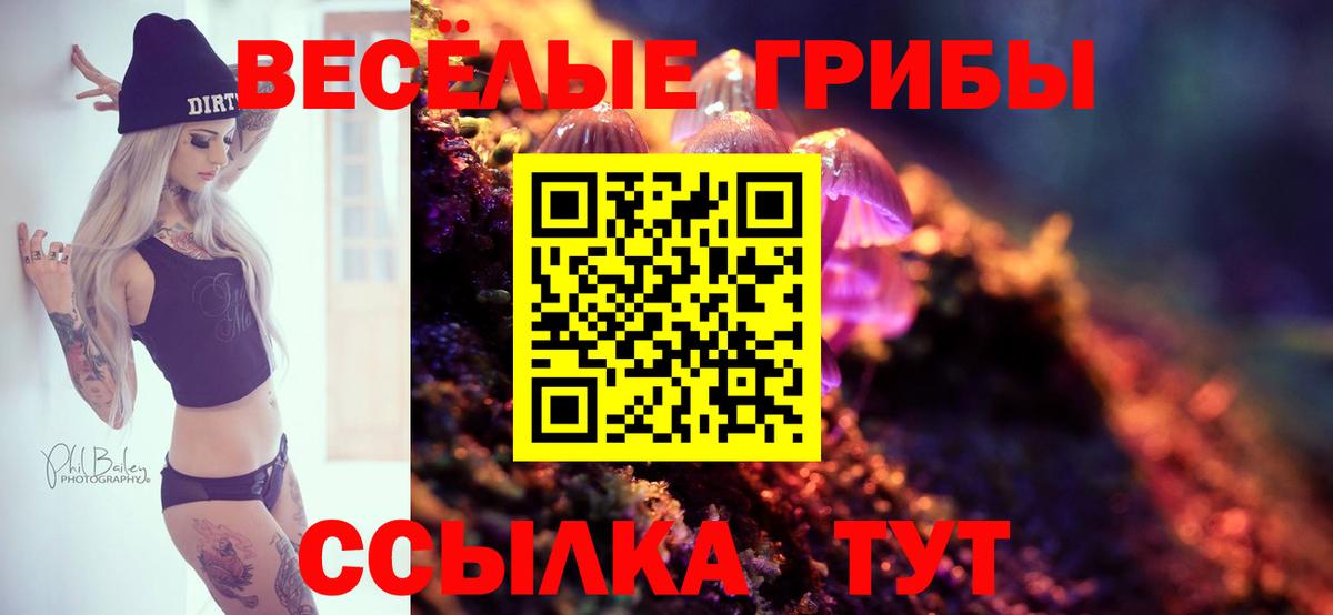 Сертолово  хочу наркоту  Вход с VPN  Псилоцибиновые грибы Cubensis 